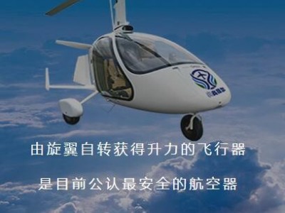 自转旋翼机（非直升飞机）培训图3