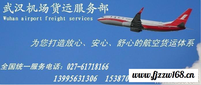 提供服务武汉托运-专业航空物流，图3