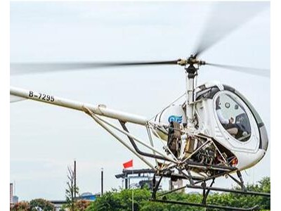 施瓦泽300C飞机销售图2