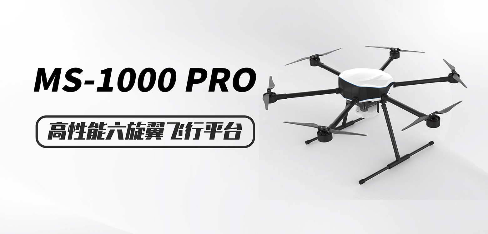 高性能六翼平台MS-100PRO图2