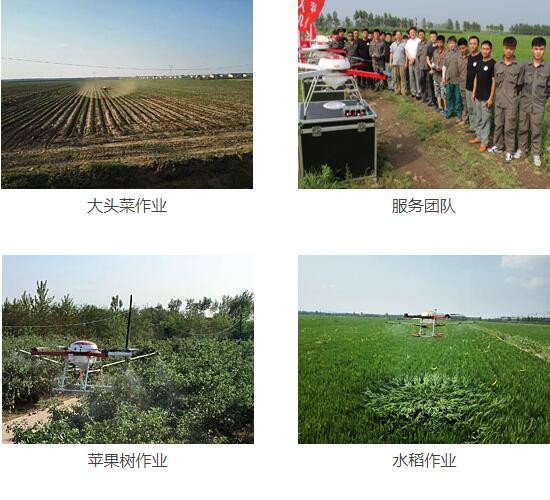 植保服务图2