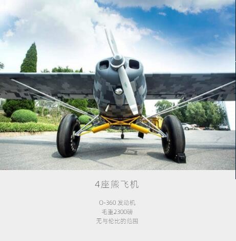 4座小熊飞机图3