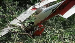 菲律宾一架轻型飞机坠毁机上两人安全获救